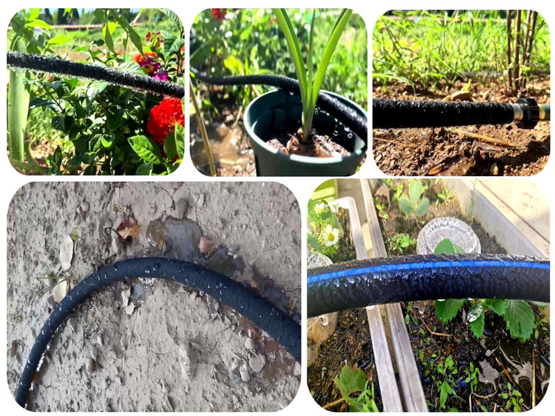 Kumlu toprak sulamasında nano sızıntısı sulama borusunun uygulanması