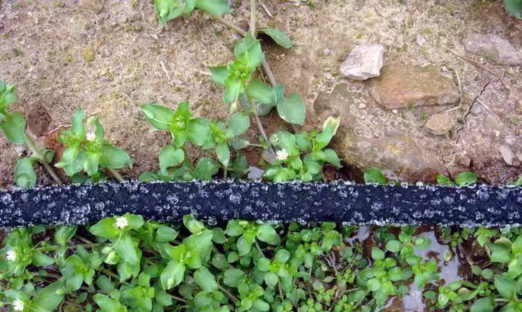 Neden kauçuk hortum sağanak hortumu olarak kullanılabilir?